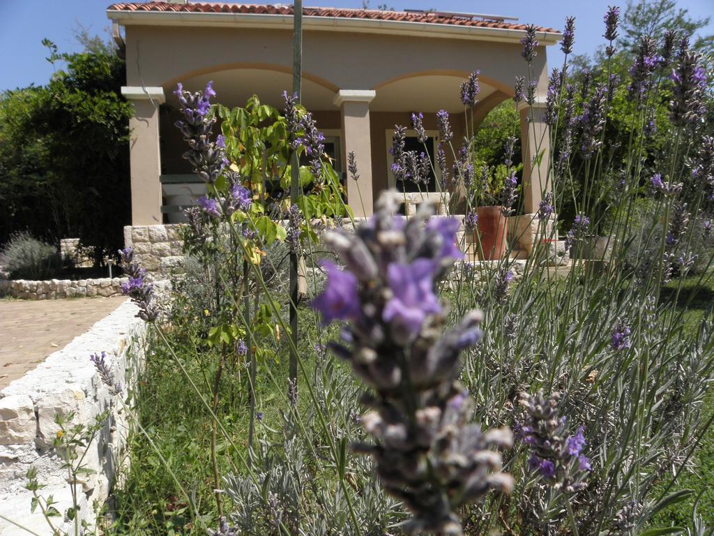 Holiday Home Borna ニン 部屋 写真