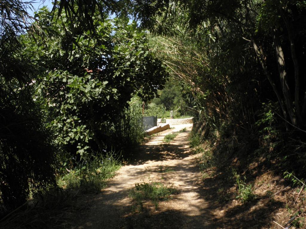 Holiday Home Borna ニン 部屋 写真